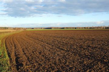 Danni da avversità atmosferiche e calamità naturali dell'agricoltura - Modello agricoltura siccità