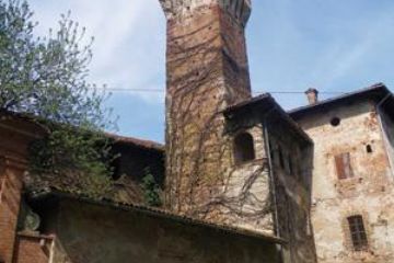 Sfoglia la galleria